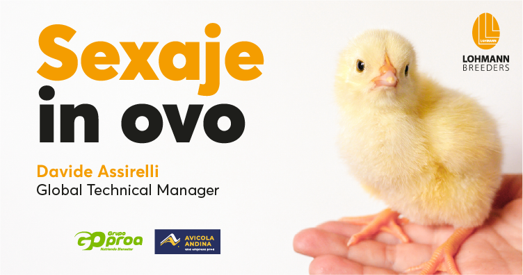 Av&iacute;cola Andina y Lohmann profundizan en sexaje in ovo en webinar t&eacute;cnico